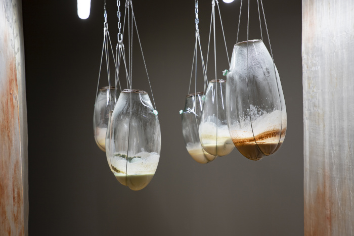 Gläser mit organischer Flüssigkeit hängen in der Ausstellung