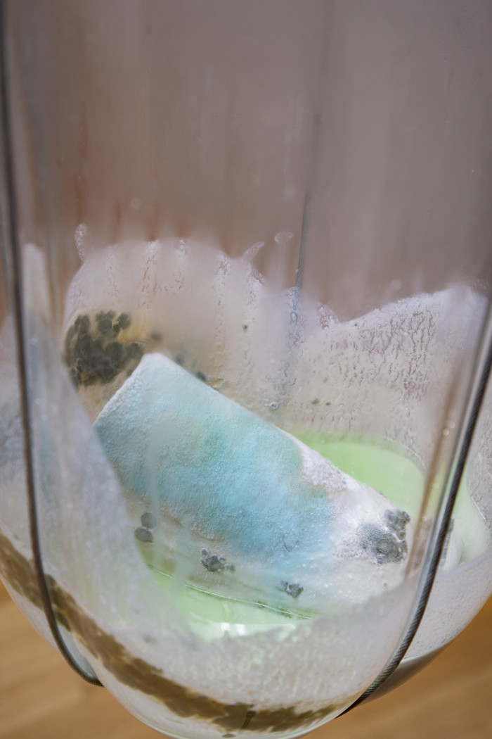 Detail eines mit blauem Schimmel überzogenen Objekts in einem verschlossenem Glas