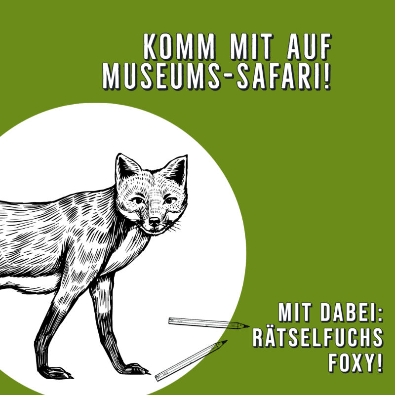 Illustration des Safari-Maskottchens: Rätselfuchs Foxy