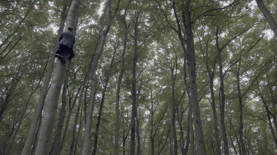 ein Mann im grauen Anzug klettert in einem Laubwald einen Baumstamm hinauf